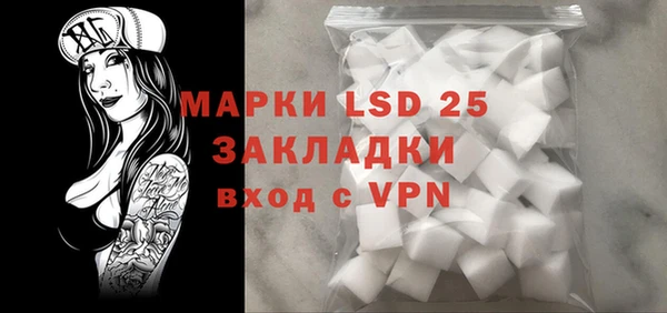 хмурый Алексин