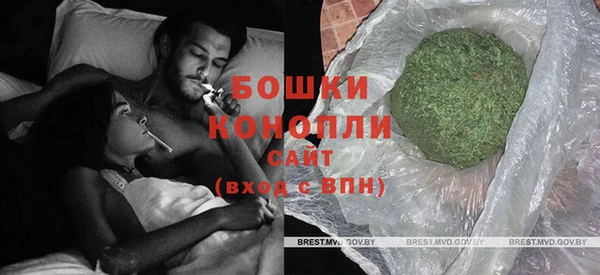 хмурый Алексин