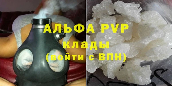 PSILOCYBIN Лагань