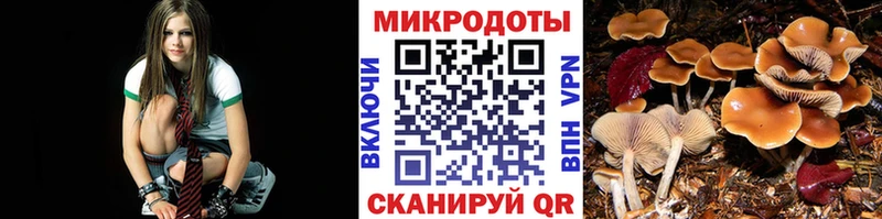 Галлюциногенные грибы Psilocybine cubensis  Подольск 